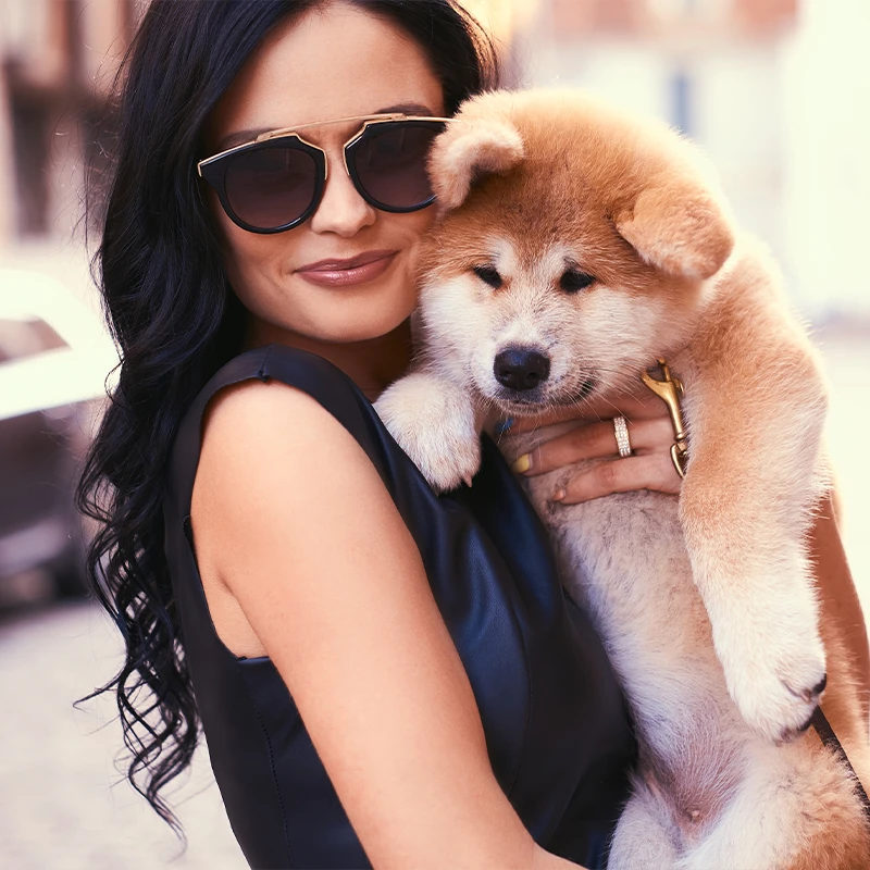 Fur-Bae operates with state-of-the-art systems.